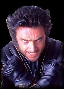 Wolverine